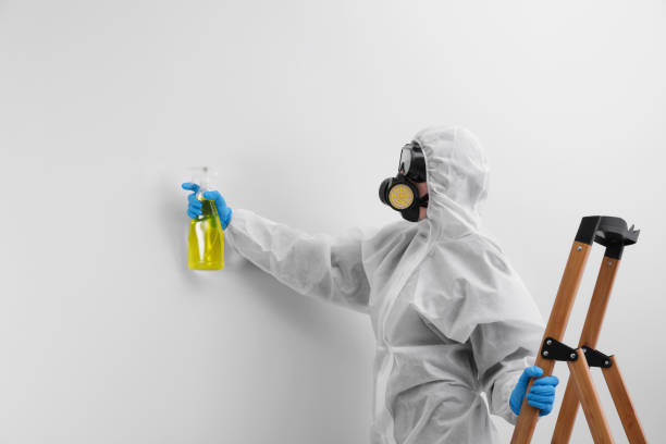 Reliable Meadow Lake, NM Mold Inspection Solutions